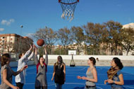 Basketball